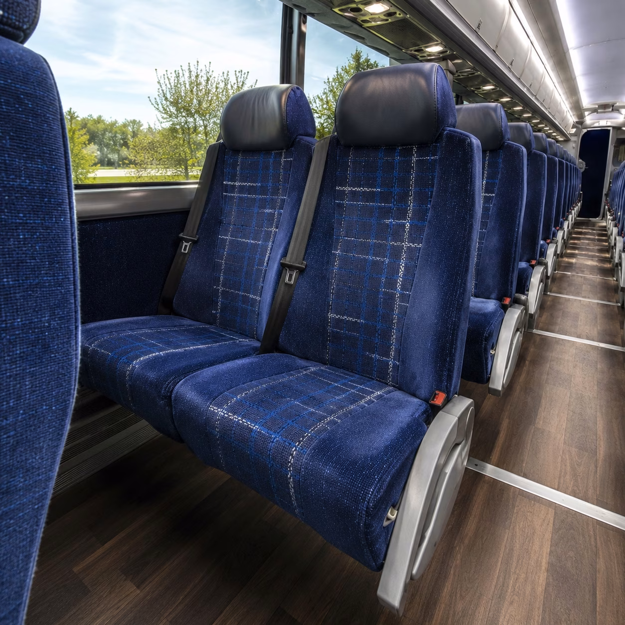 compare buses in minutes not days